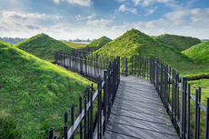 Biesbosch_Museum06